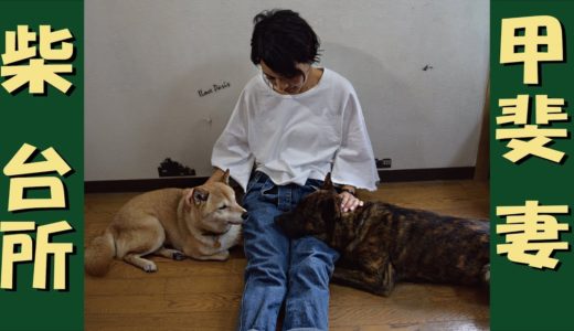 甲斐犬と柴犬と台所と妻＝！