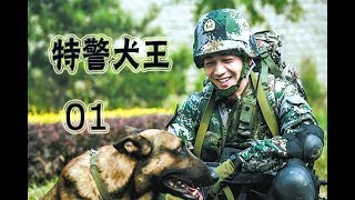 特警犬王 第1集 | 最好看中国军旅警犬题材剧