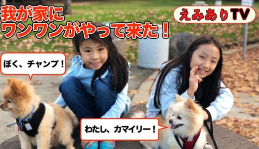 えみあり犬を飼う？！我が家にワンワンがやって来た！☆ Hi! Puppies! Welcome to my house!