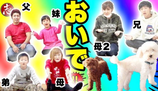 【争奪戦】まさかの号泣劇！？犬５匹抱っこしたい！１対１で対決したら予想外の結果になった（第２弾）【ココロマンちゃんねる】