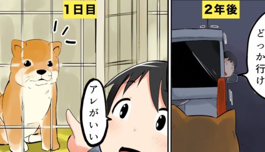 【漫画】捨て犬になるとどうなるのか？/保健所の実態【マンガ動画】