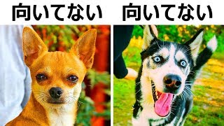 子どもにとって危険な犬種１０