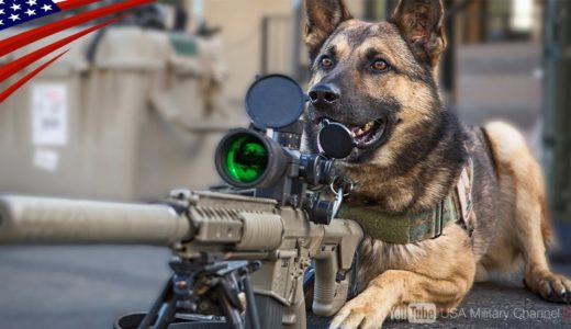 【米軍最恐兵士】軍用犬Ｋ-９になるまでのハンドラーと犬の特殊訓練映像