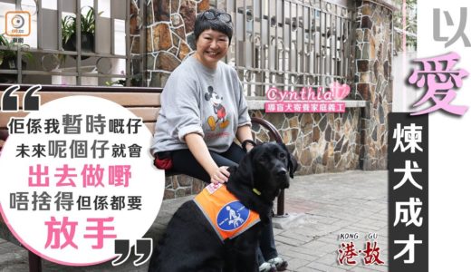 港故：導盲犬寄養家庭　習慣離別仍難忍淚水　義工：當嫁佢出去啦