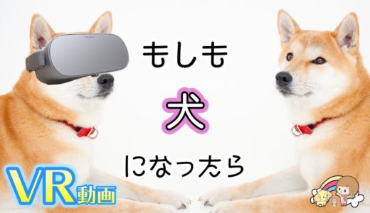 もしも犬だったら…VR180 【 こうじょうちょー  】