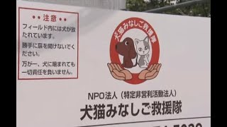 多頭飼育崩壊　中谷さん　犬猫みなしご救援隊