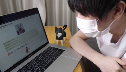 犬の雑学クイズに挑戦！あなたはすべて答えられますか？