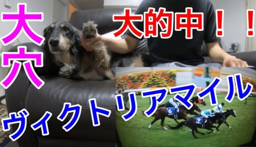 【競馬】凄すぎる！犬が予想するヴィクトリアマイル結果