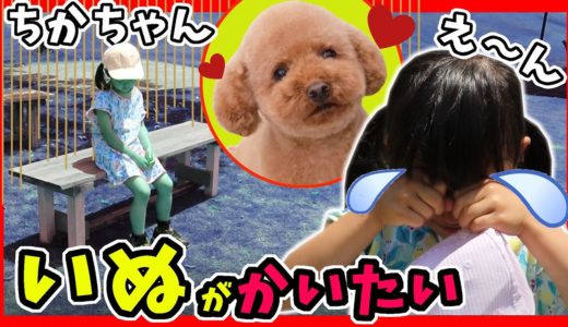 涙…犬を飼いたくてちかちゃん が落ち込んじゃった😿ドイツ村で夢をかなえよう！ふたりはなかよし♪