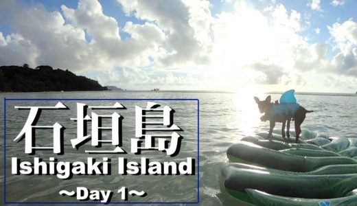 犬と一緒に３泊4日の沖縄 石垣島旅行〜Day1〜【ミニピン】【Ishigaki trip】【min pin dog】