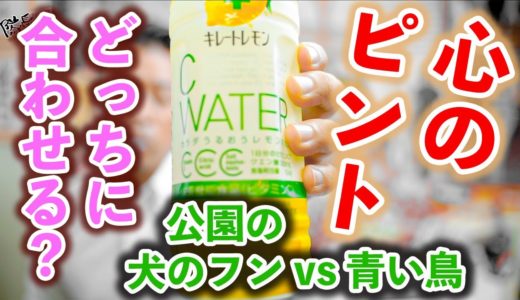 【幸せにピン】光が丘公園に行ったら犬のフンばっかり見てたらダメよ！ビューティフルな鳥がいるんだから！