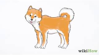 犬を描く方法