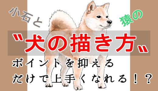 犬を上手に描く方法！絵描き初心者に向けた描き方講座！