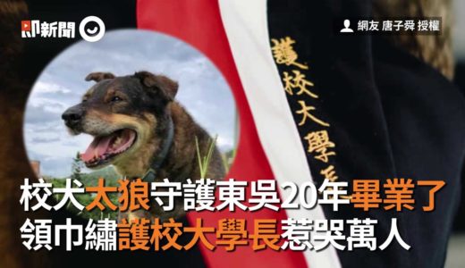 校犬太狼守護東吳20年畢業了　領巾繡護校大學長惹哭萬人