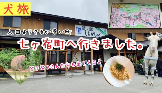 【犬旅】宮城県七ヶ宿町へ行きました