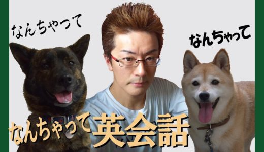 甲斐犬と柴犬がいる日常【#06】です＝！