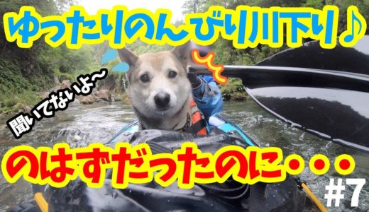 【雑種犬むぎの大冒険】清流〜激流を川下りするの巻#7🛶2019年5月