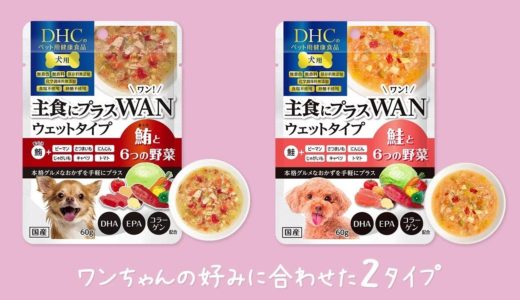 DHC 犬用 主食にプラスWAN ウェットタイプ