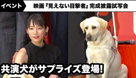 吉岡里帆、共演犬・パルのサプライズ登場に…映画『見えない目撃者』完成披露試写会