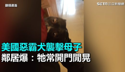 美國惡霸犬襲擊孕母、3歲童　鄰居爆料：牠常自己開門閒晃｜三立新聞網SETN.com