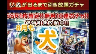 【戦国炎舞】 8月も犬ガチャ