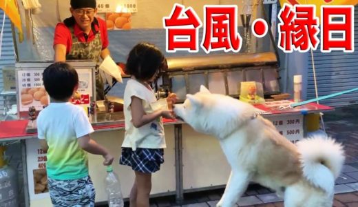 台風・縁日・お盆休み・秋田犬・熊野前商店街.ベビーカステラ美味しいね