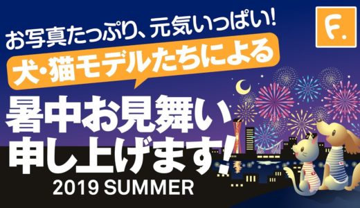 【犬猫の服 フルオブビガー】2019暑中お見舞い「ウエア着用犬猫モデルちゃん達による元気なお便り」