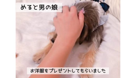 男の娘犬 めると