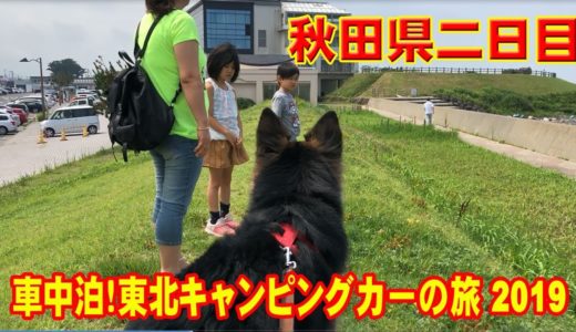 【犬連れ家族旅行記】車中泊！東北キャンピングカーの旅 2019  (2日目)