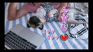 犬とイチャつきながらまったり夜更かし パグ犬ぷぅ pug