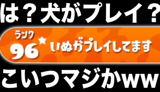 【スプラトゥーン2】名前が「犬がプレイしています」って奴いたんだけど。。。