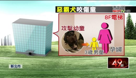 惡犬撲來！　孕婦、三歲童渾身是傷