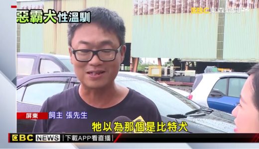 面惡心善！ 惡霸犬品種不同30到百萬起跳