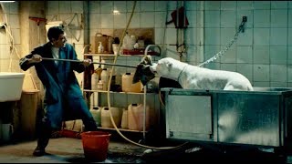 白クマじゃない！巨大な獰猛犬と格闘する冒頭シーン／映画『ドッグマン』冒頭映像