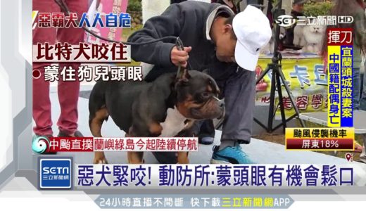 惡犬緊咬！動防所：蒙頭眼有機會鬆口｜三立新聞台