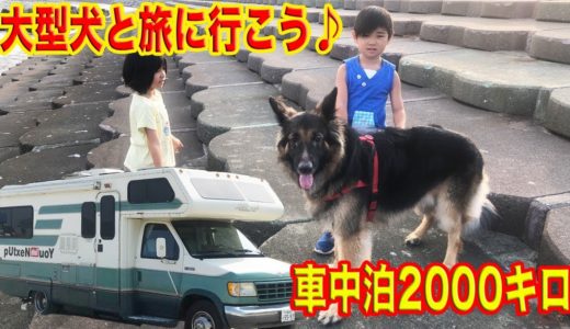 大型犬と旅に行こう！東北2000㌔・シェパード犬マックの想い出Traveling with a dog