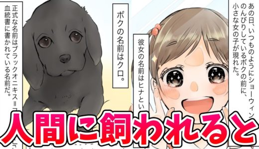 【漫画】犬が人間に飼われるとどうなるのか？