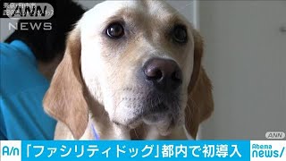 病院で闘病中の子どもを癒やす犬　東京都内に初導入(19/08/05)