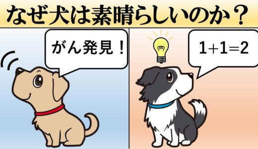 【科学】なぜ犬は素晴らしいのか？【イヌの魅力】