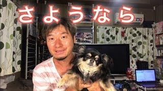 今から犬と旅に出ます。