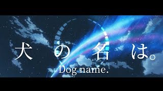 【DFFOO】犬の名は。【たぶんガチャ】