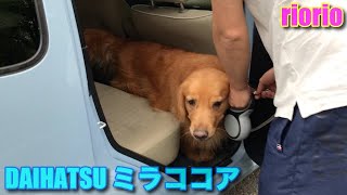 今時の軽自動車は大型犬でもゆったり快適と実感♪ ダイハツ ミラココア660