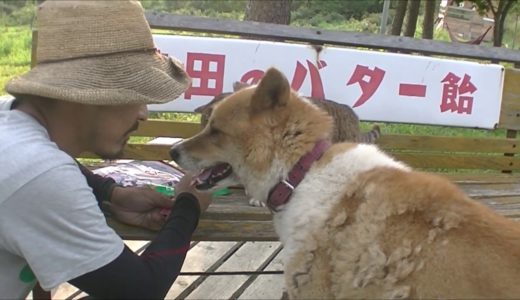 忠犬ケンタに思わぬ贈り物