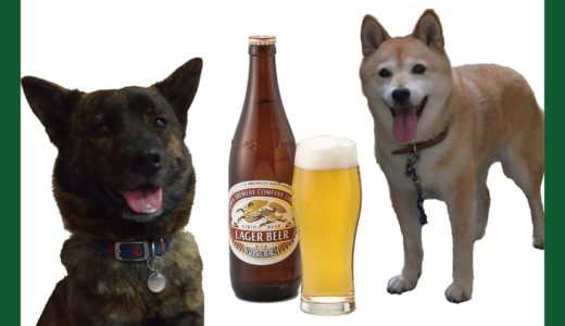 甲斐犬が瓶で柴犬がビールですね＝！