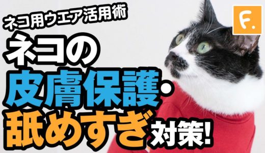 【犬猫の服 フルオブビガー】シンプル袖付きネコ用Tシャツ 過剰グルーミング対策、皮膚保護に