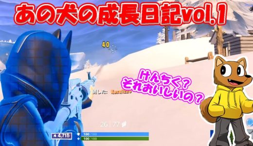 【フォートナイト】みんなで見守るあの犬の成長日記vol.1～建築ができない犬のエイムゲーム～【Fortnite】