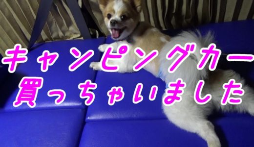 念願のキャンピングカー納車でころ介旅犬の仲間入り♪　I bought a camper♪