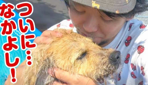 急に犬が甘えん坊になってしまったので抱きしめてしまいました…！