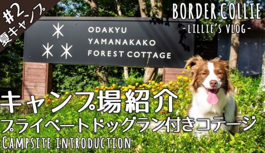 #2 [夏キャンプ] 山中湖 犬と泊まれるプラーベートドッグラン付きコテージの紹介/ Lake Yamanaka Campsite with dogs