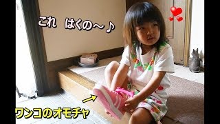 ２歳の女の子💕犬の「オモチャの靴」とは知らず・・履きたい♪I don't know what a 2-year-old girl's dog “toy shoes” is..